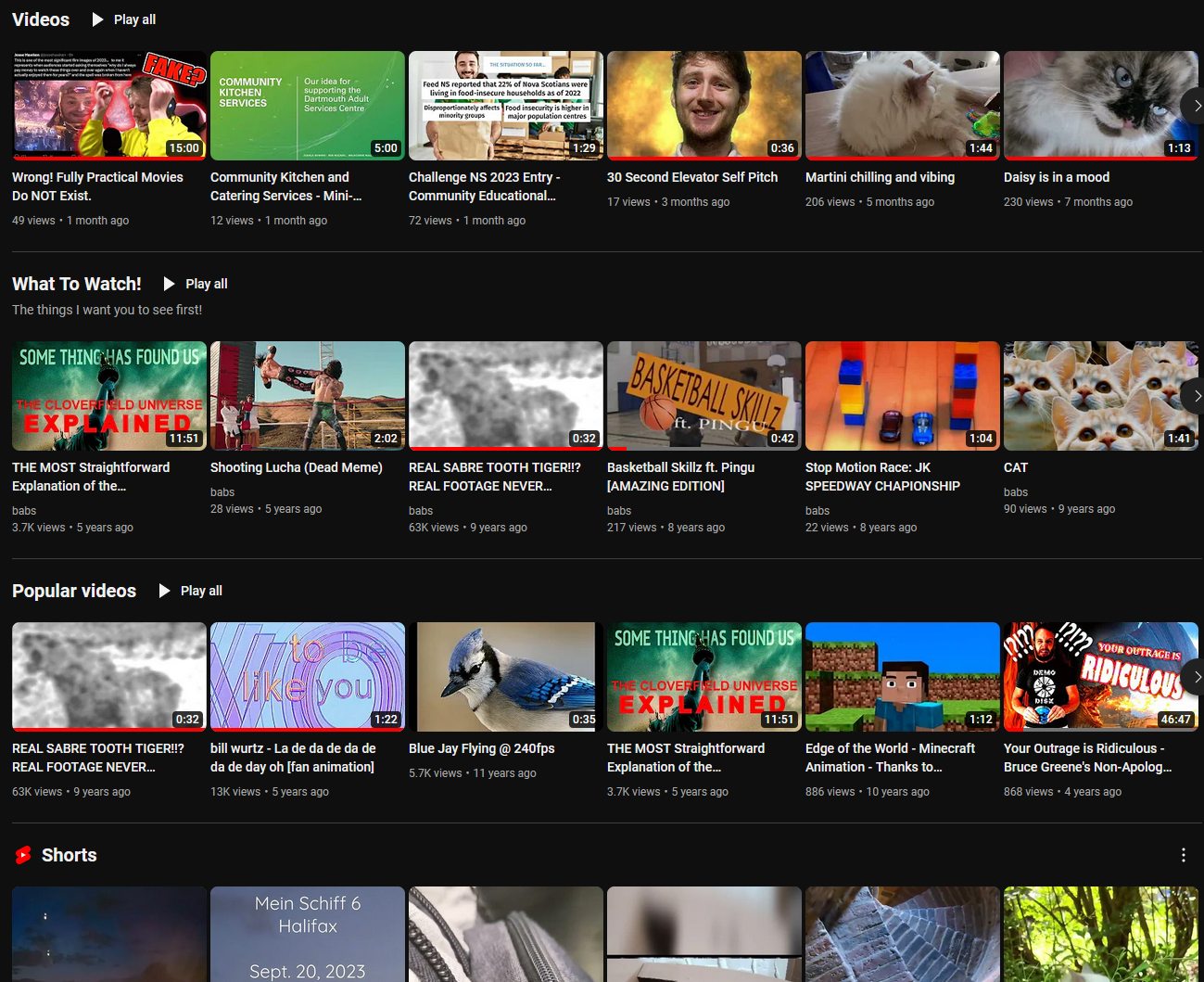 Screenshot of my @babsaiih youtube page