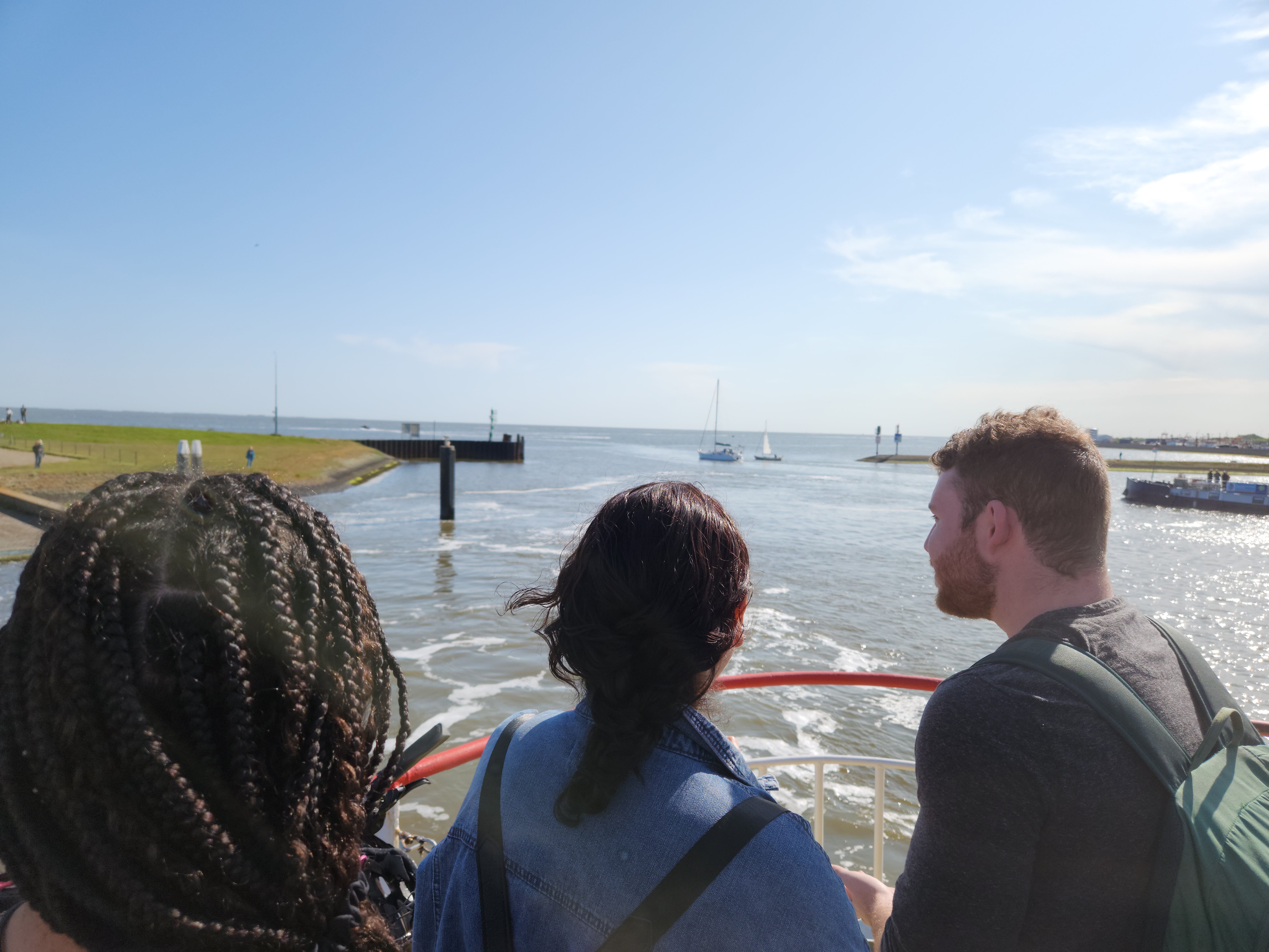 Photo I took of my new friends while travelling to Schiermonnikoog