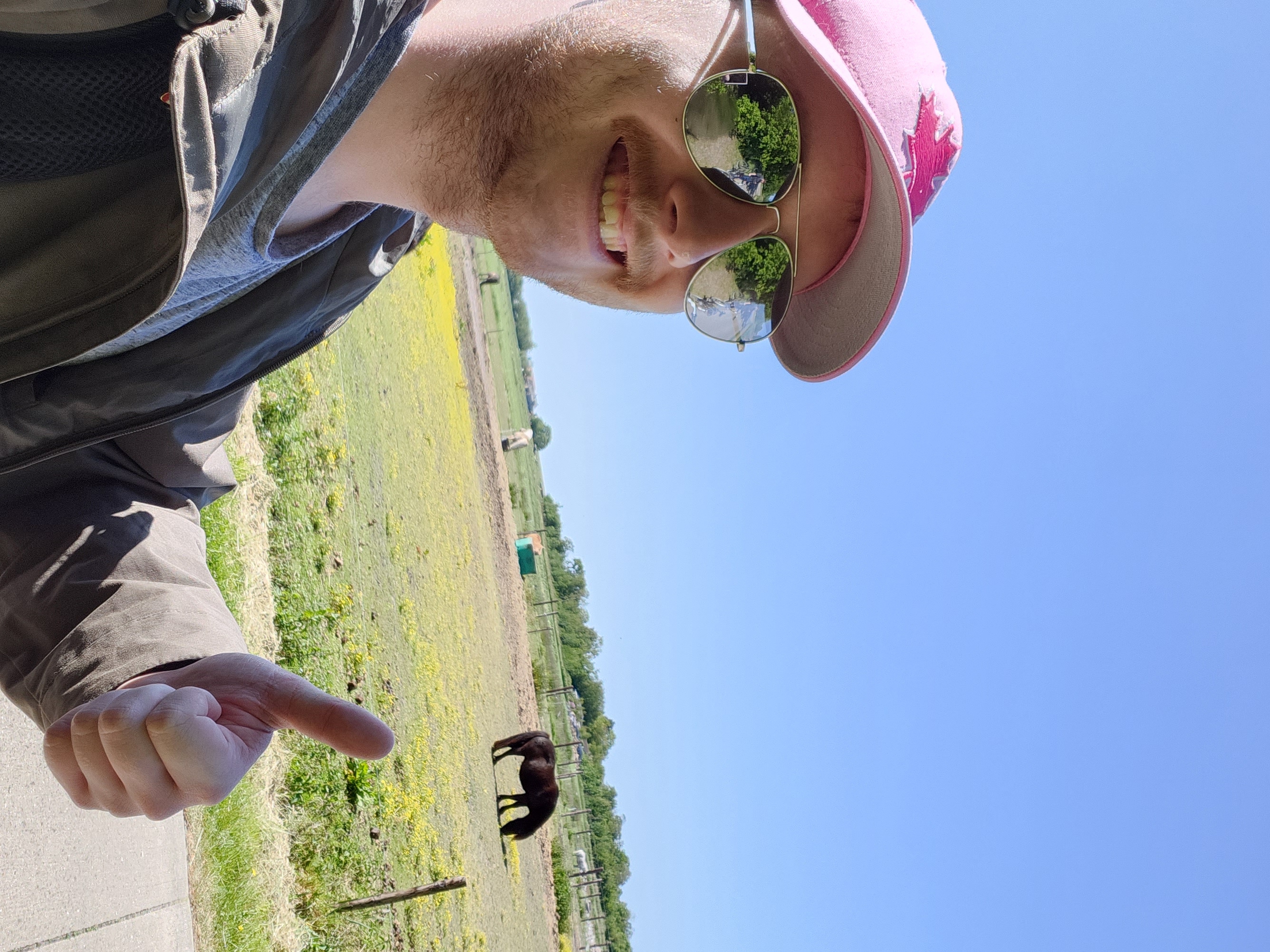 Schiermonnikoog has a lot of farmland!