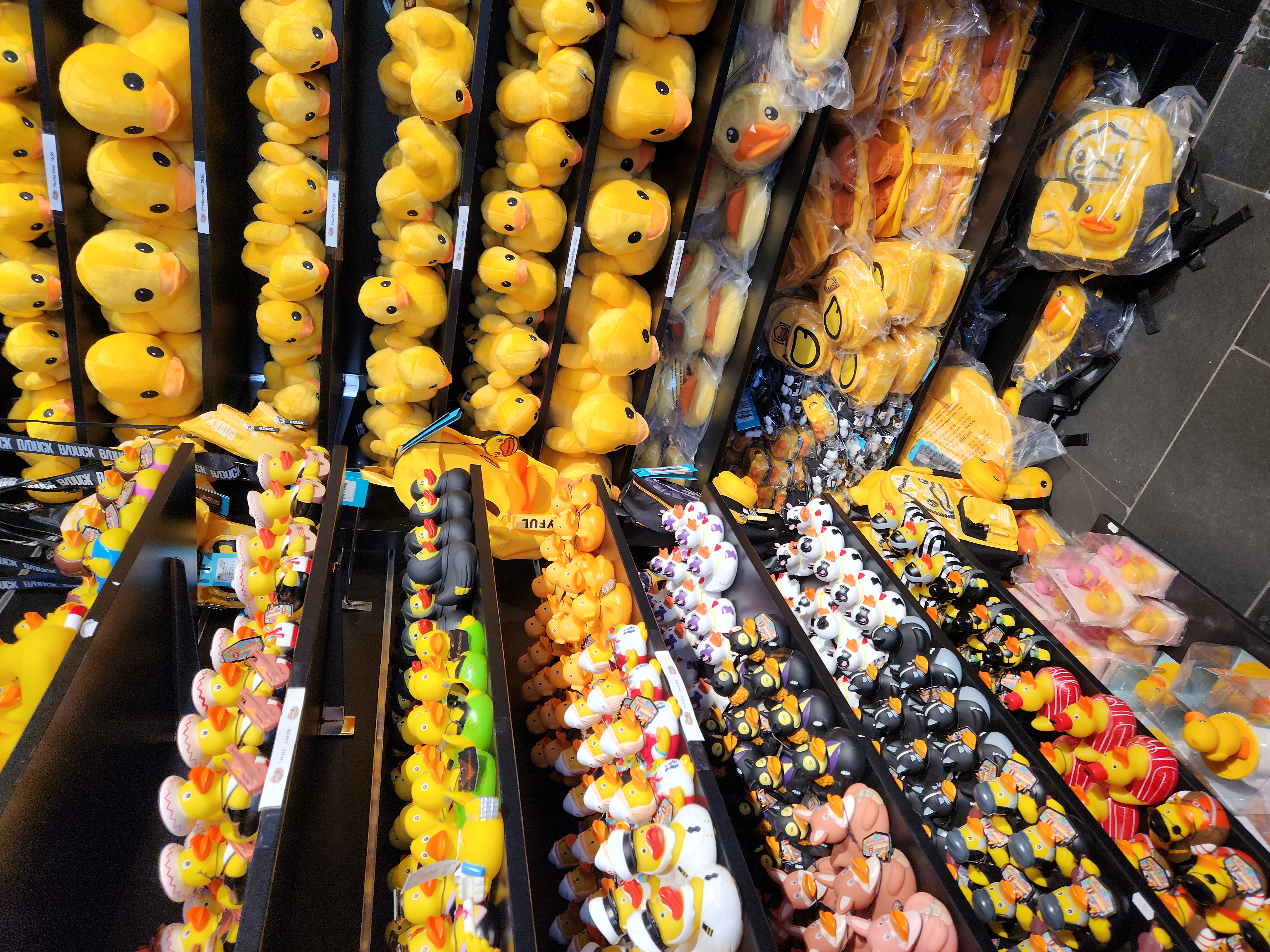 THEYRE ALL RUBBER DUCKS